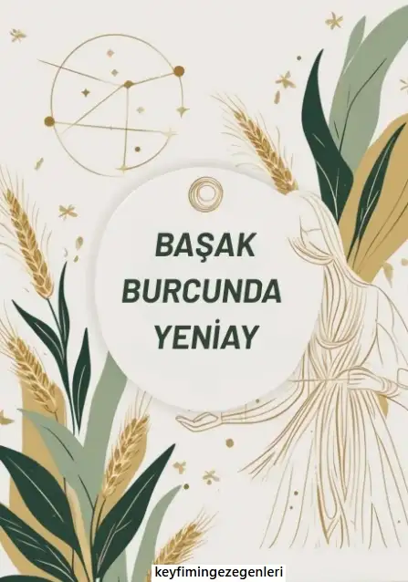 aslan1f.webp