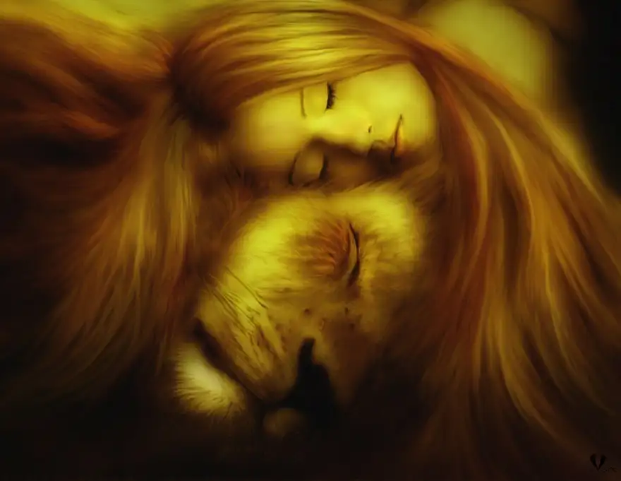 aslan2 (1).webp