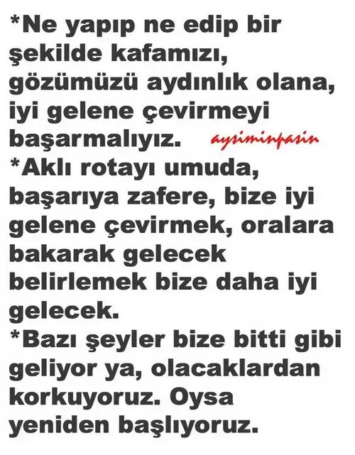 aslan2 (2).webp