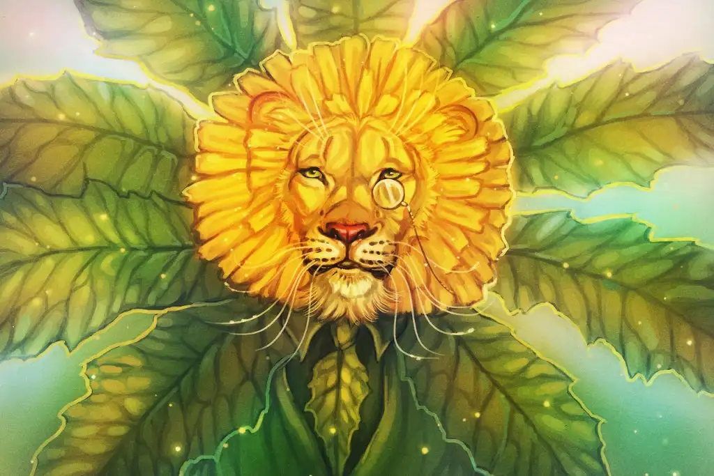 aslan2 (3).webp