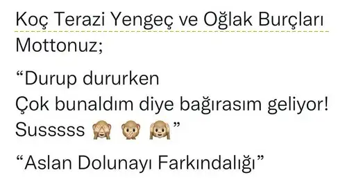 aslan2 (3).webp