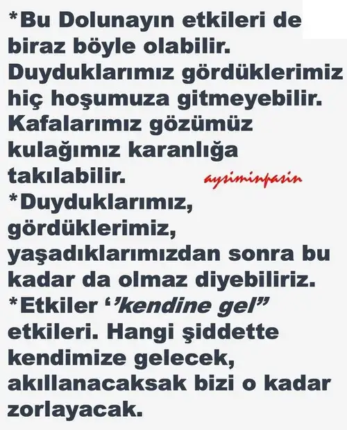 aslan2 (3).webp