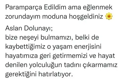 aslan2 (4).webp
