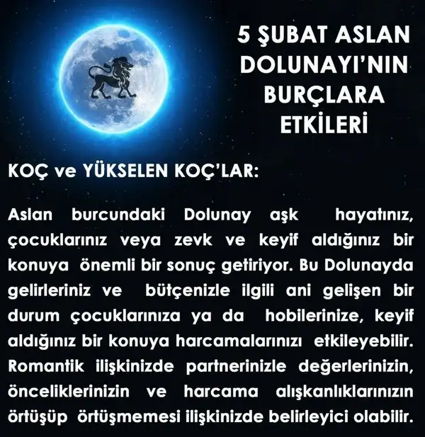 aslan21 (1).webp