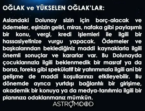aslan21 (10).webp