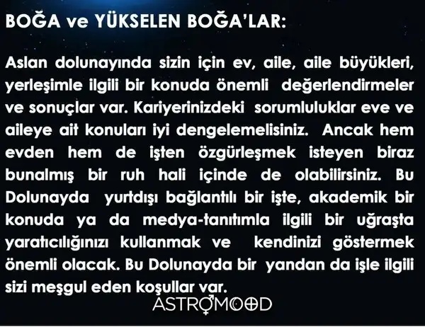 aslan21 (2).webp