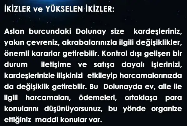 aslan21 (3).webp