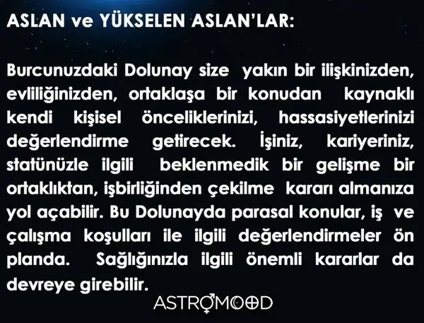aslan21 (5).webp