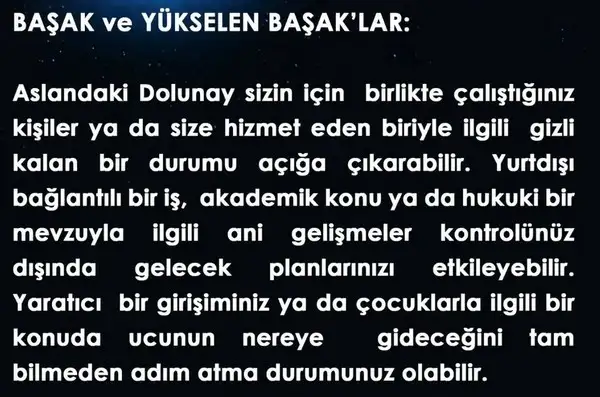aslan21 (6).webp