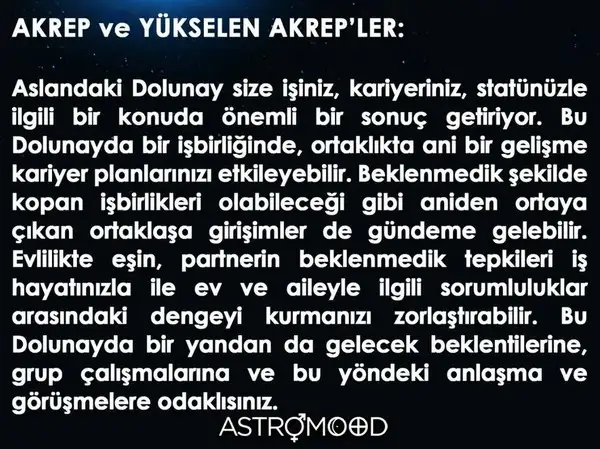 aslan21 (8).webp