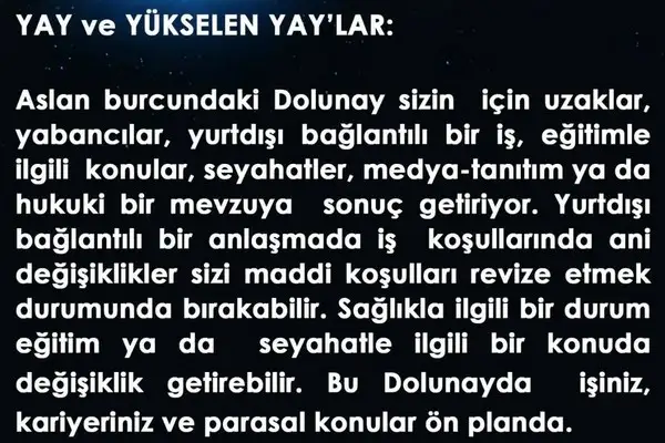 aslan21 (9).webp