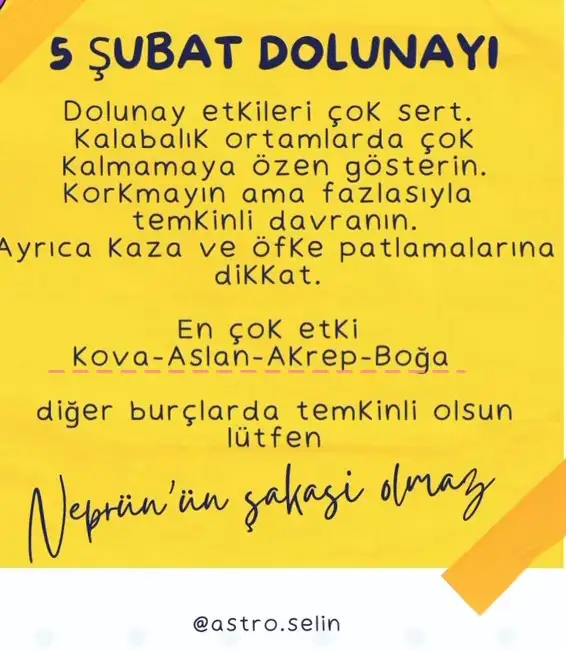 aslan23.webp