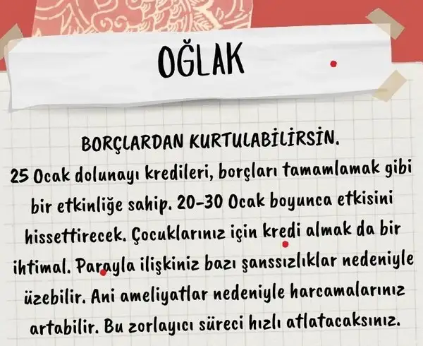 aslan24 (3).webp