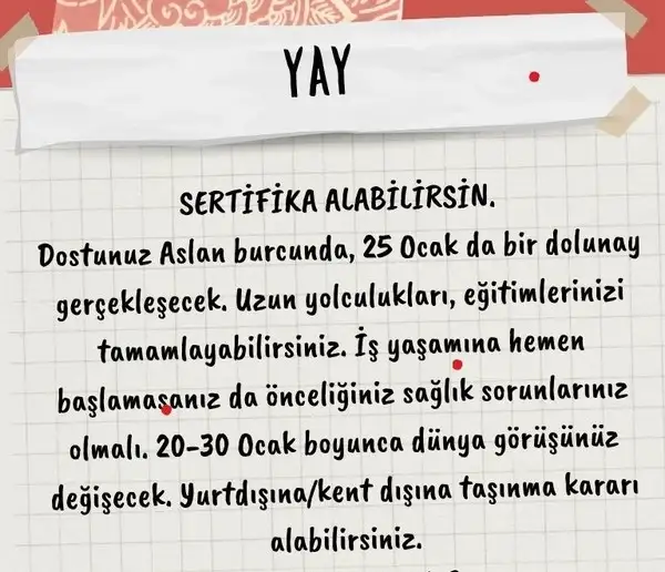 aslan24 (4).webp