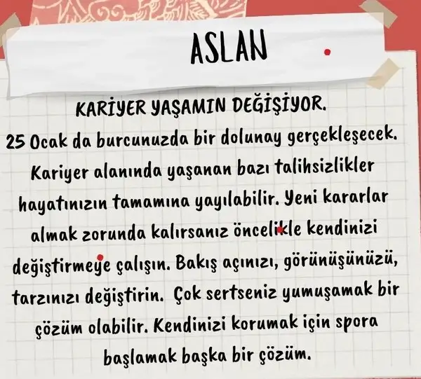 aslan24 (8).webp