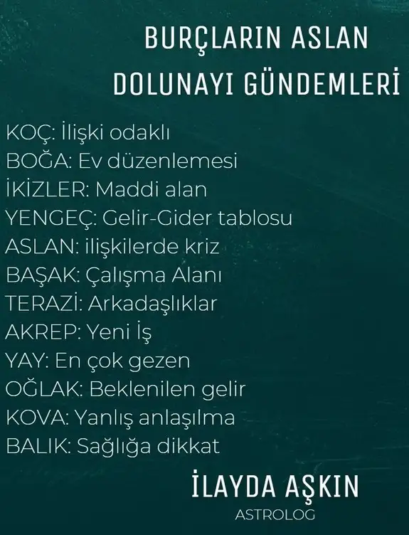 aslan26.webp