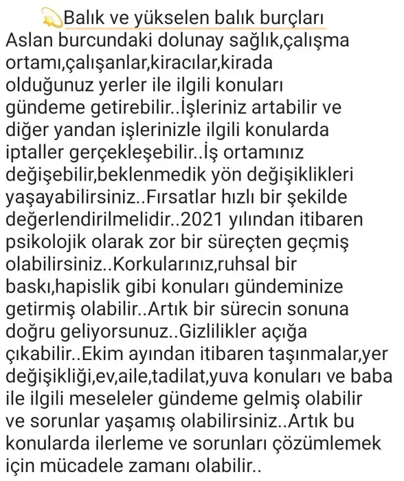 aslan3 (13).webp