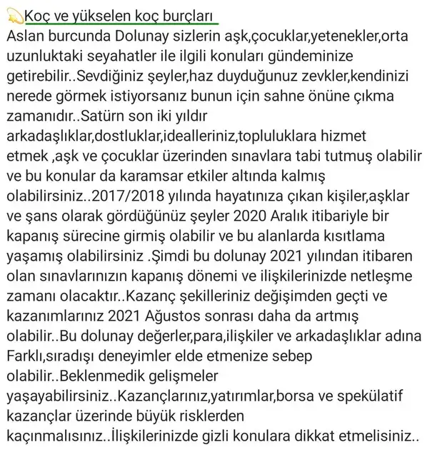 aslan3 (2).webp