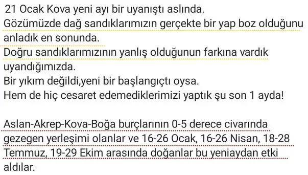 aslan3 (2).webp