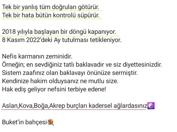 aslan3 (4).webp