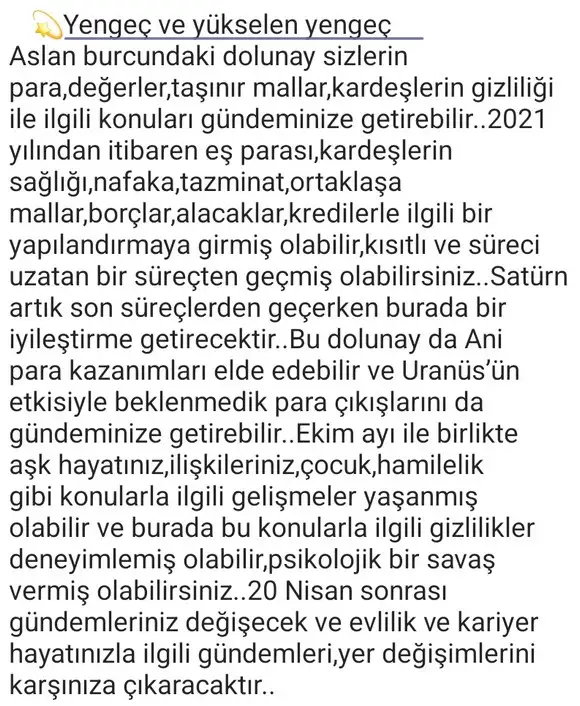 aslan3 (5).webp