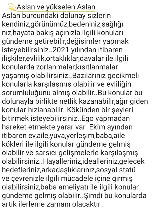 aslan3 (6).webp