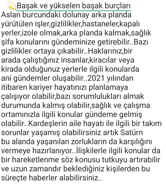 aslan3 (7).webp