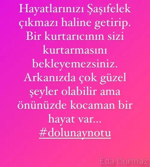 aslan31.webp