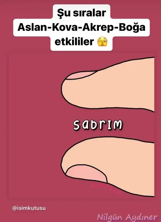 aslan32.webp