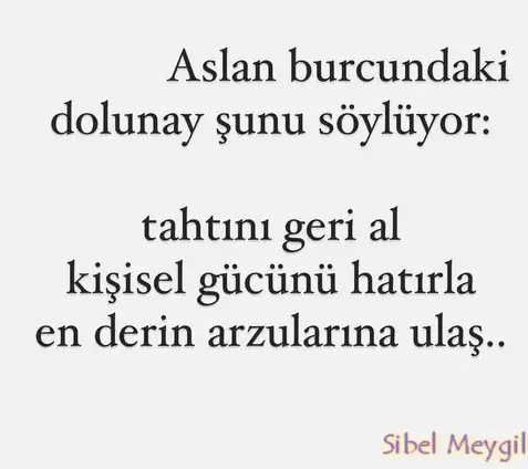 aslan32.webp