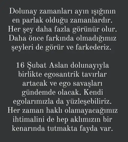 aslan33 (1).webp