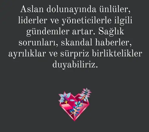 aslan33 (2).webp