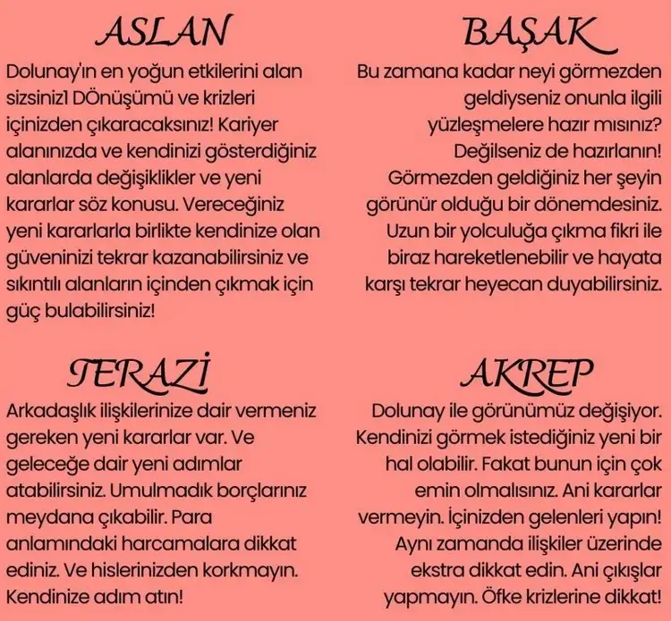 aslan33 (2).webp