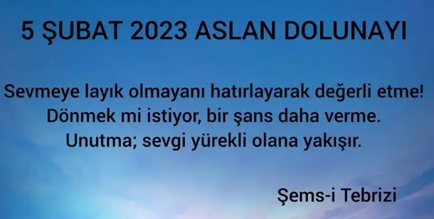 aslan34 (1).webp