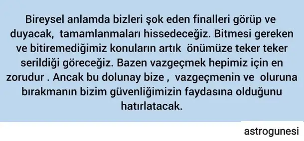 aslan34 (2).webp