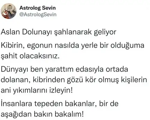 aslan39 (1).webp