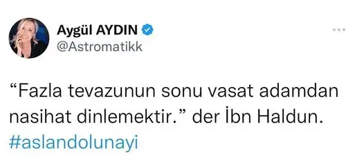 aslan40.webp