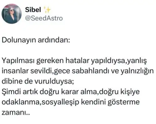 aslan78.webp