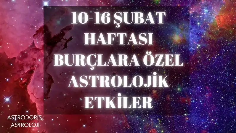 aslans43.webp