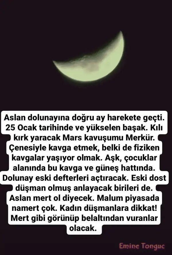 asll.webp