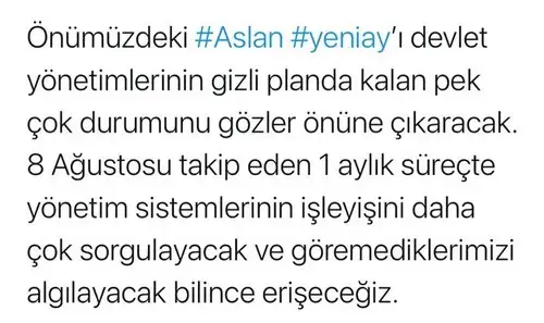 asln (1).webp