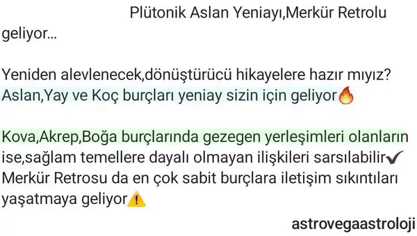 asye.webp
