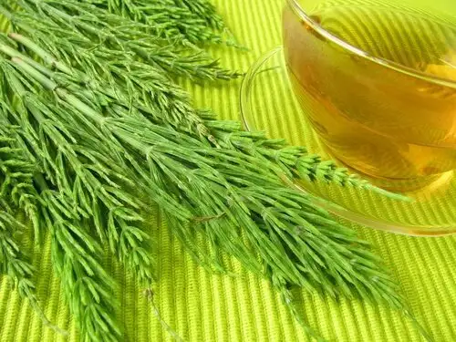 at_kuyrugu_cayi_ile_urik_asit_seviyesi_dusurme_azaltma.jpg