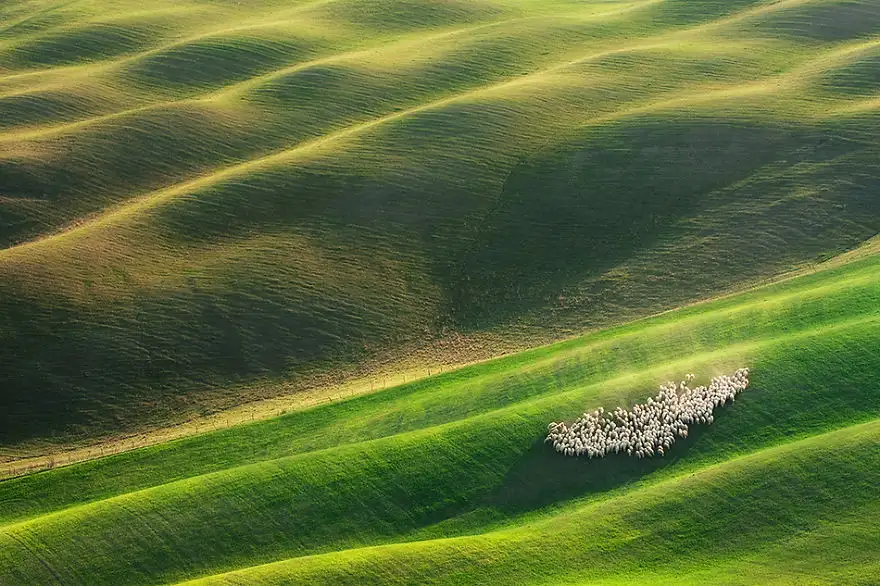Aternoon-on-fields-950__880.webp