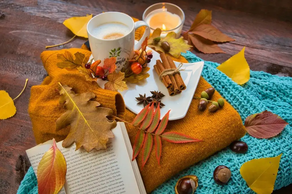 autumn-5707946_1280.webp