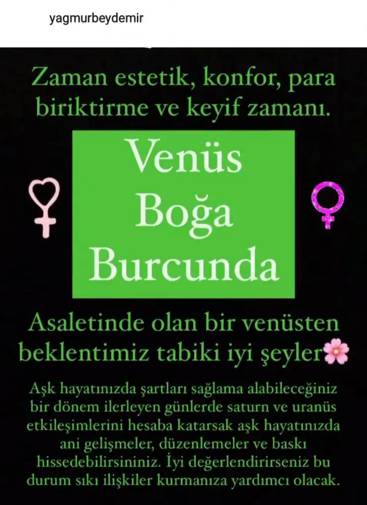 aven (1).webp