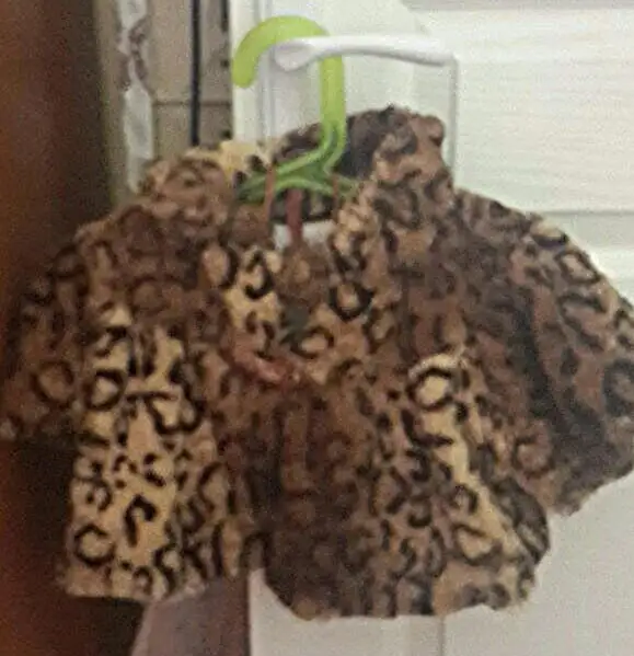 aviary_1418655881311.webp