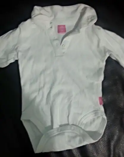 aviary_1419262996077.webp