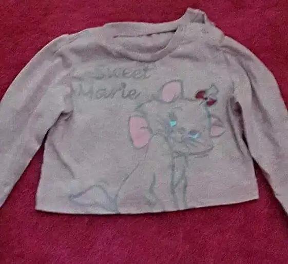 aviary_1421099622560.webp