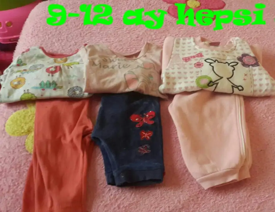 aviary_1423443835791.webp